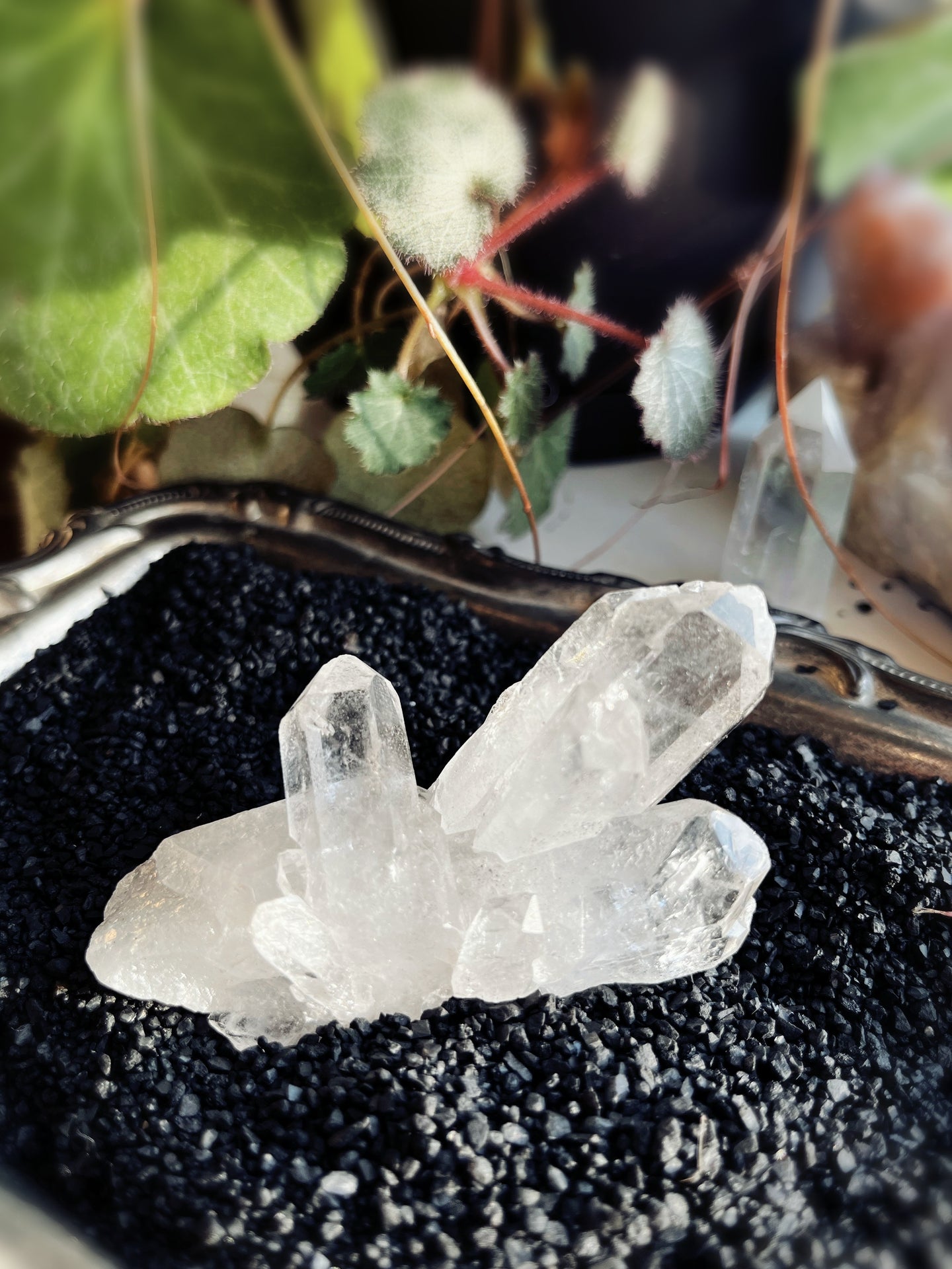 Quartz Crystal Cluster