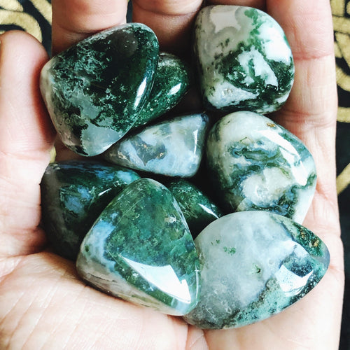 Moss Agate Tumbles