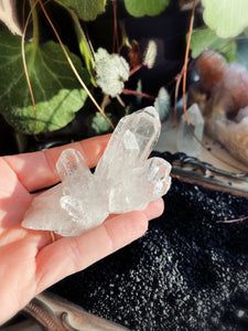 Quartz Crystal Cluster