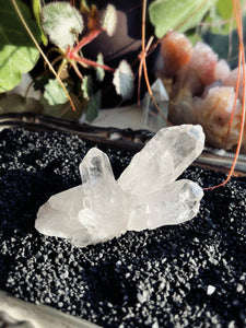 Quartz Crystal Cluster